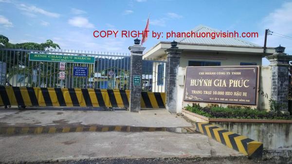 Ep phan heo trang trai huynh gia phuc Ep phan heo trang trai huynh gia phuc