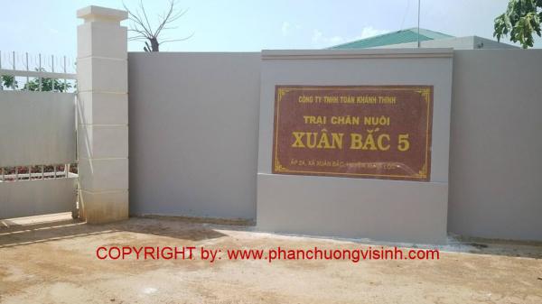Ep phan trai heo xuan bac