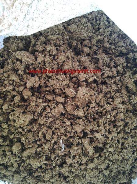 phan bo nuoi trun que