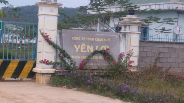 trang trai heo trang trai heo